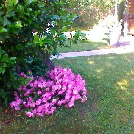 Le Clos Des Palombes Wifi Climatisation Saint-Pierre-du-Mont  Exterior foto