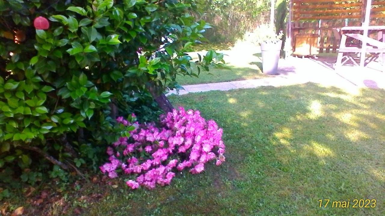 Le Clos Des Palombes Wifi Climatisation Saint-Pierre-du-Mont  Exterior foto